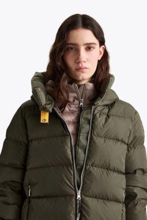 TAGGIA OLIVE